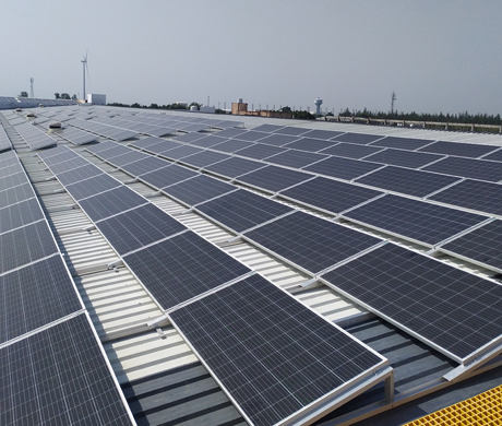 Tin Shade-Seven Solar